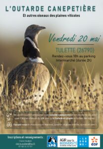Sortie naturaliste à Tulette organisée par la Ligue pour la Protection des Oiseaux