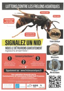 Information CCDSP : Lutte contre le frelon asiatique