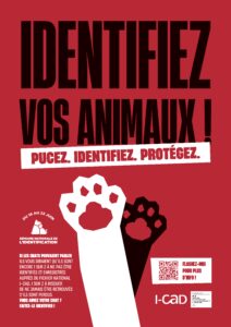 I-CAD : Semaine nationale de l’identification des chats et des chiens du 16 au 22 juin 2025
