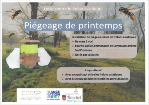 Piégeage de printemps – Lutte contre le frelon asiatique